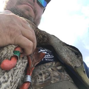 Meet your Posher, Byron